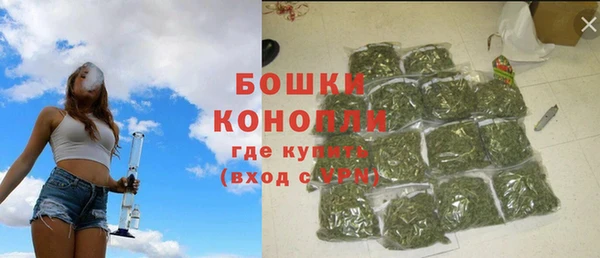 ГАЛЛЮЦИНОГЕННЫЕ ГРИБЫ Новодвинск