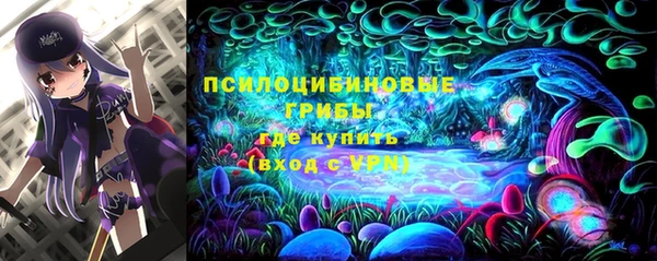 ГАЛЛЮЦИНОГЕННЫЕ ГРИБЫ Новодвинск